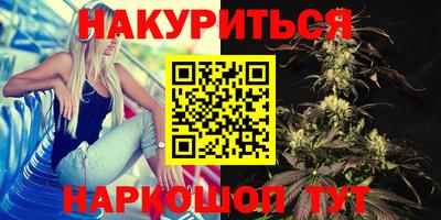jwh Новозыбков