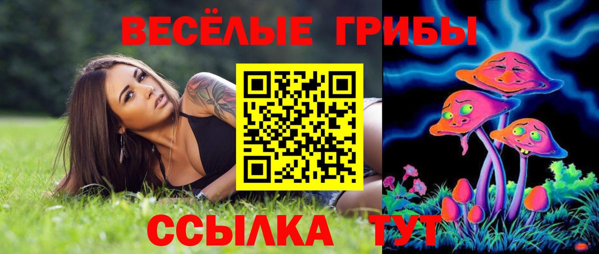 Хабаровск  Галлюциногенные грибы Cubensis  цена наркотик  Вход с VPN 